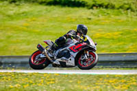 Brno;event-digital-images;motorbikes;no-limits;peter-wileman-photography;trackday;trackday-digital-images